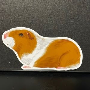 GUINEA PIG STICKER